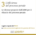 L'efficienza del processo penale - 