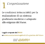 L'organizzazione - 