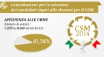 Consultazioni per la selezione dei candidati togati alle elezioni per il CSM 2014: dati definitivi ufficiosi spoglio e su affluenza alle urne - 