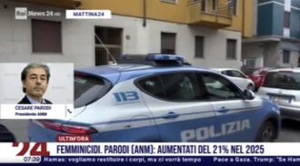 Parodi a RaiNews